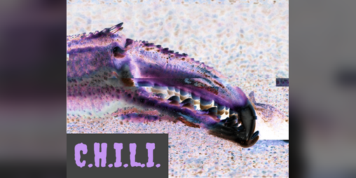 Cover image for C.H.I.L.I.