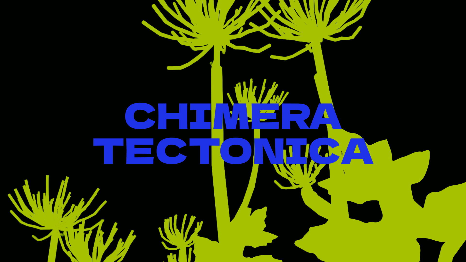 Cover image for Heracleum