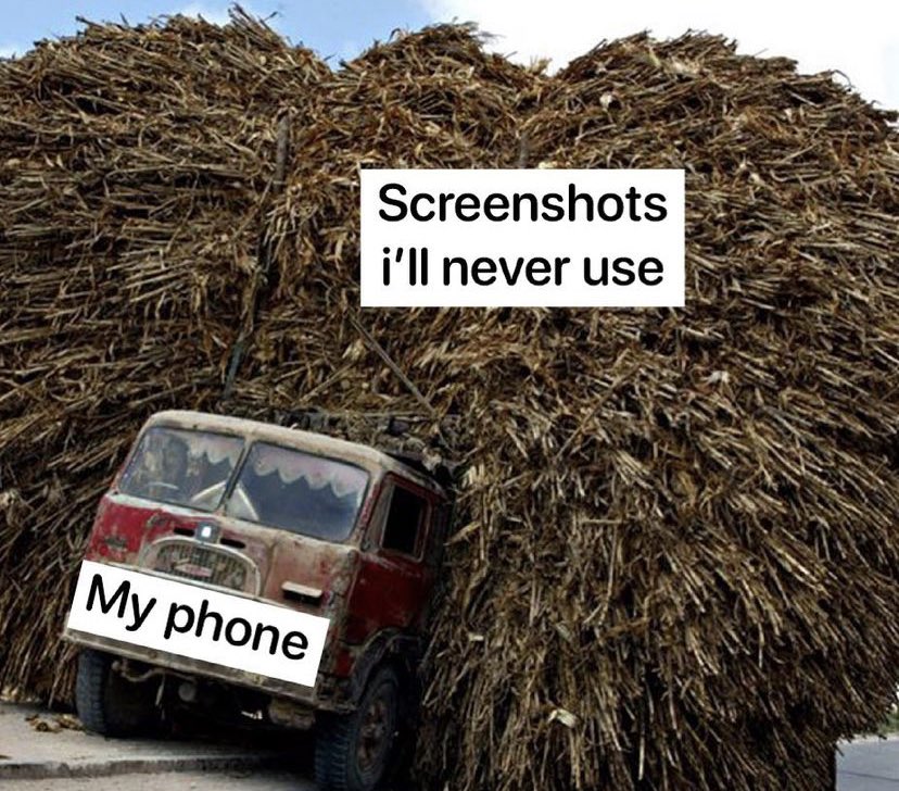Une photo d'un 4x4 qui porte cinq fois sa taille de paille. Sur la gigantesque botte de paille est écrit 'Screenshots i'll never use' et sur la voiture 'My phone'.