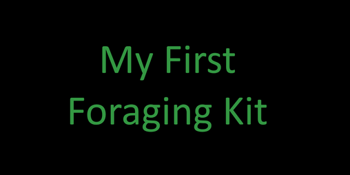 Cover image for My First Foraging Kit