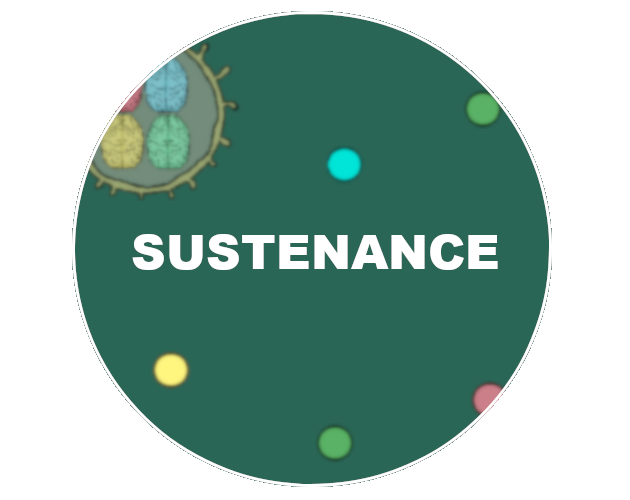 Cover image for SUSTENANCE