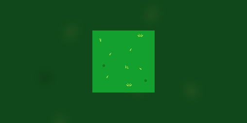 Cover image for dodog