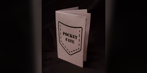 Cover image for POCKET FATE