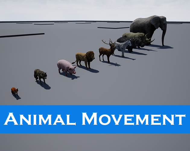 Animal Movement
