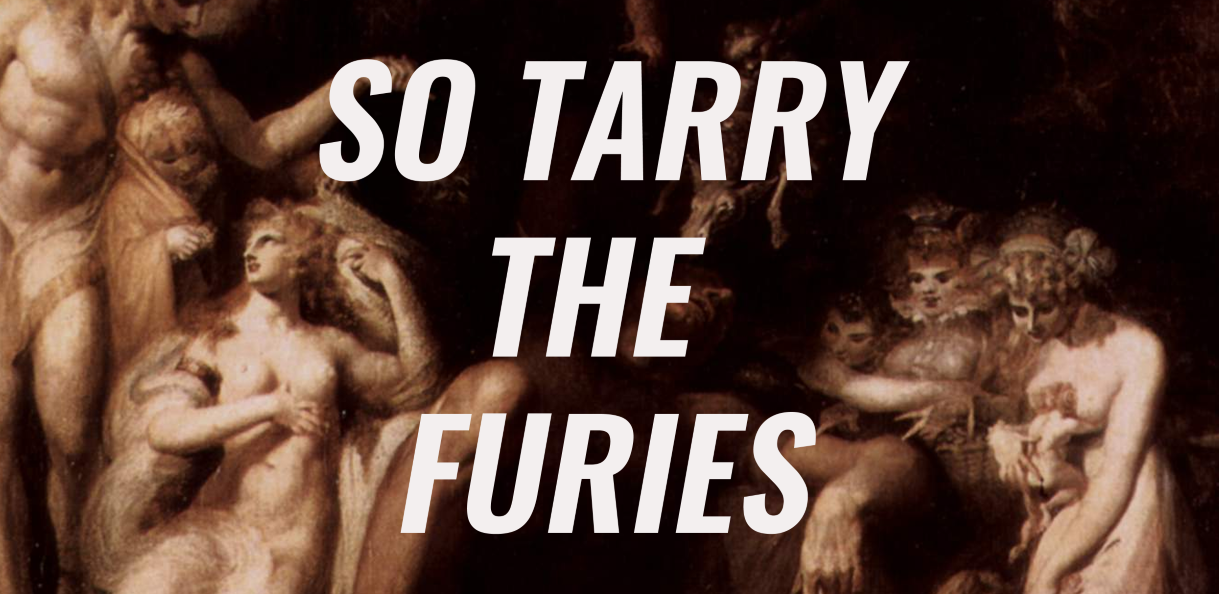 Cover image for So Tarry the Furies