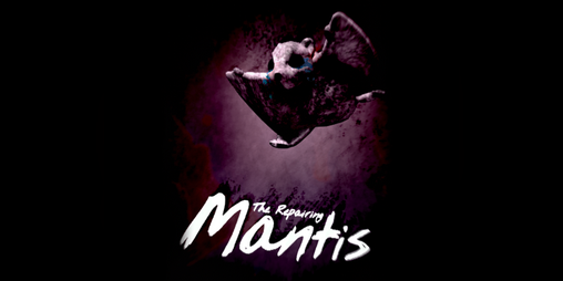 Cover image for The Repairing Mantis
