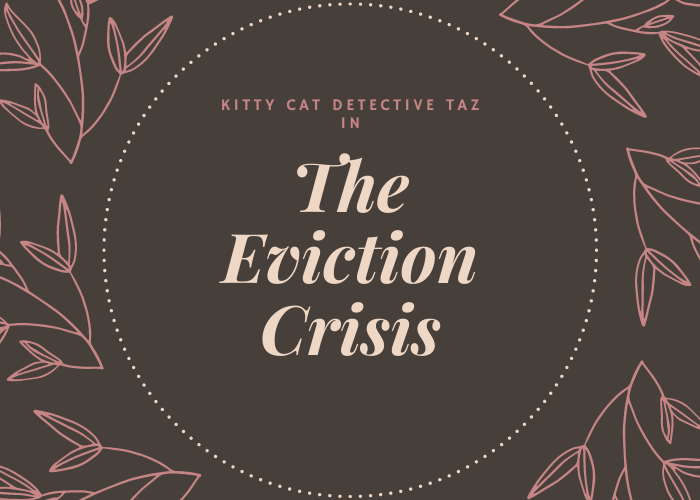 Kitty Cat Detective Taz: The Eviction Crisis
