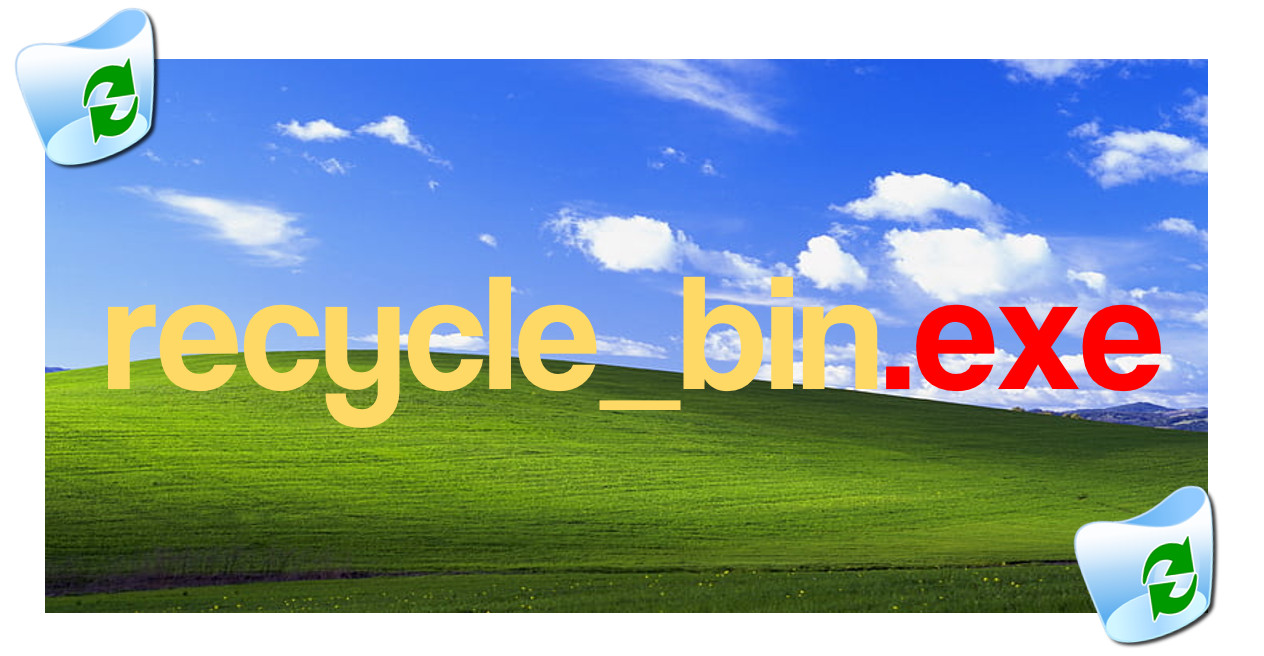 recycle_bin.exe