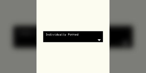 Cover image for Individually Potted - A Blackout Poem