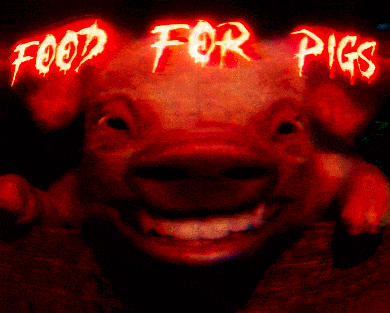 Food For Pigs