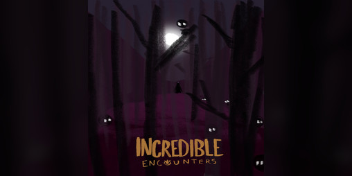 Cover image for Incredible Encounters