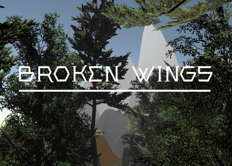 Cover image for Broken Wings