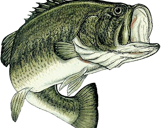 Fishing Sim 2