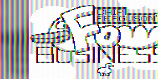 Cover image for Fowl Business (Gameboy, Old)