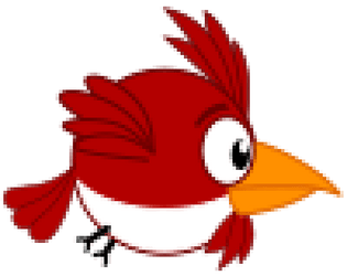 MAD BIRD