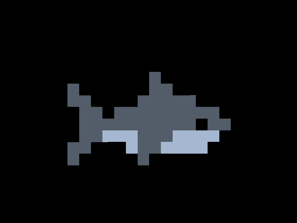 Cover image for Shark