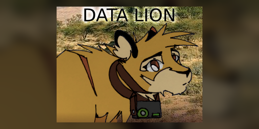 Cover image for Data Lion