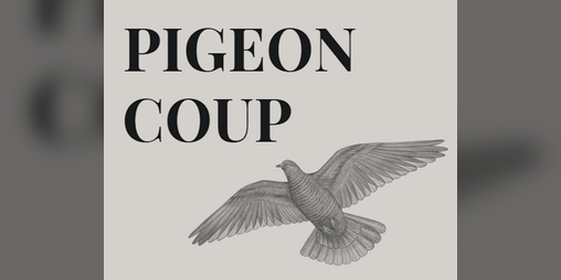 Cover image for Pigeon Coup