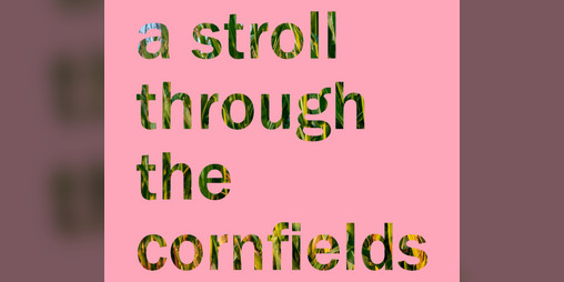 Cover image for a stroll through the cornfields