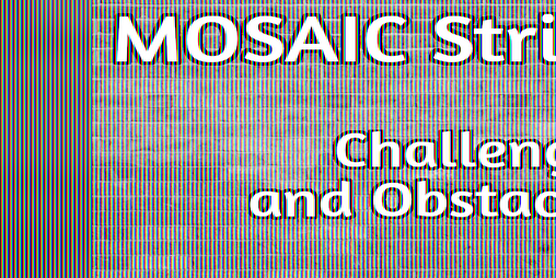 Cover image for MOSAIC Strict Challenges and Obstacles