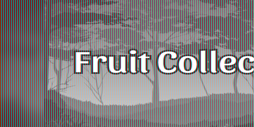 Cover image for Fruit Collect