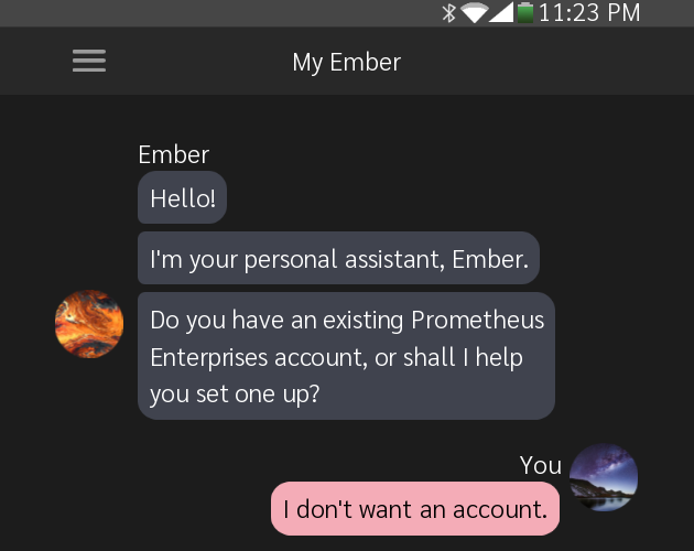 Ember: Your Personal Household Assistant