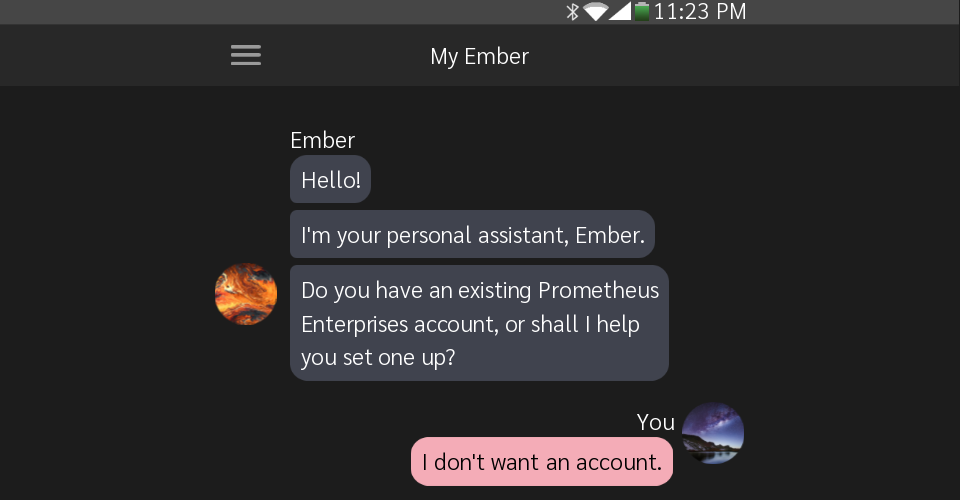 Ember: Your Personal Household Assistant