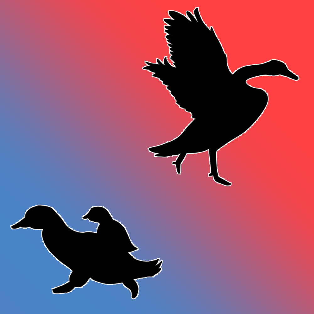 Cover image for STD: Quack!