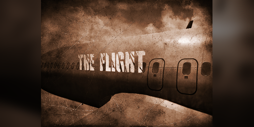 Cover image for The Flight