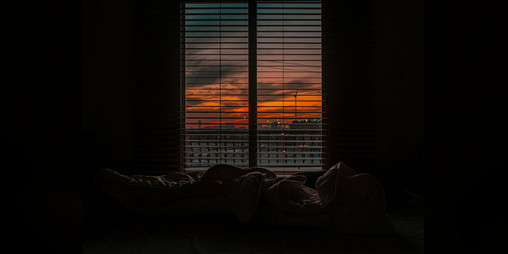 Cover image for The Dream