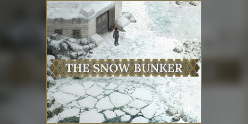 Cover image for The Snow Bunker