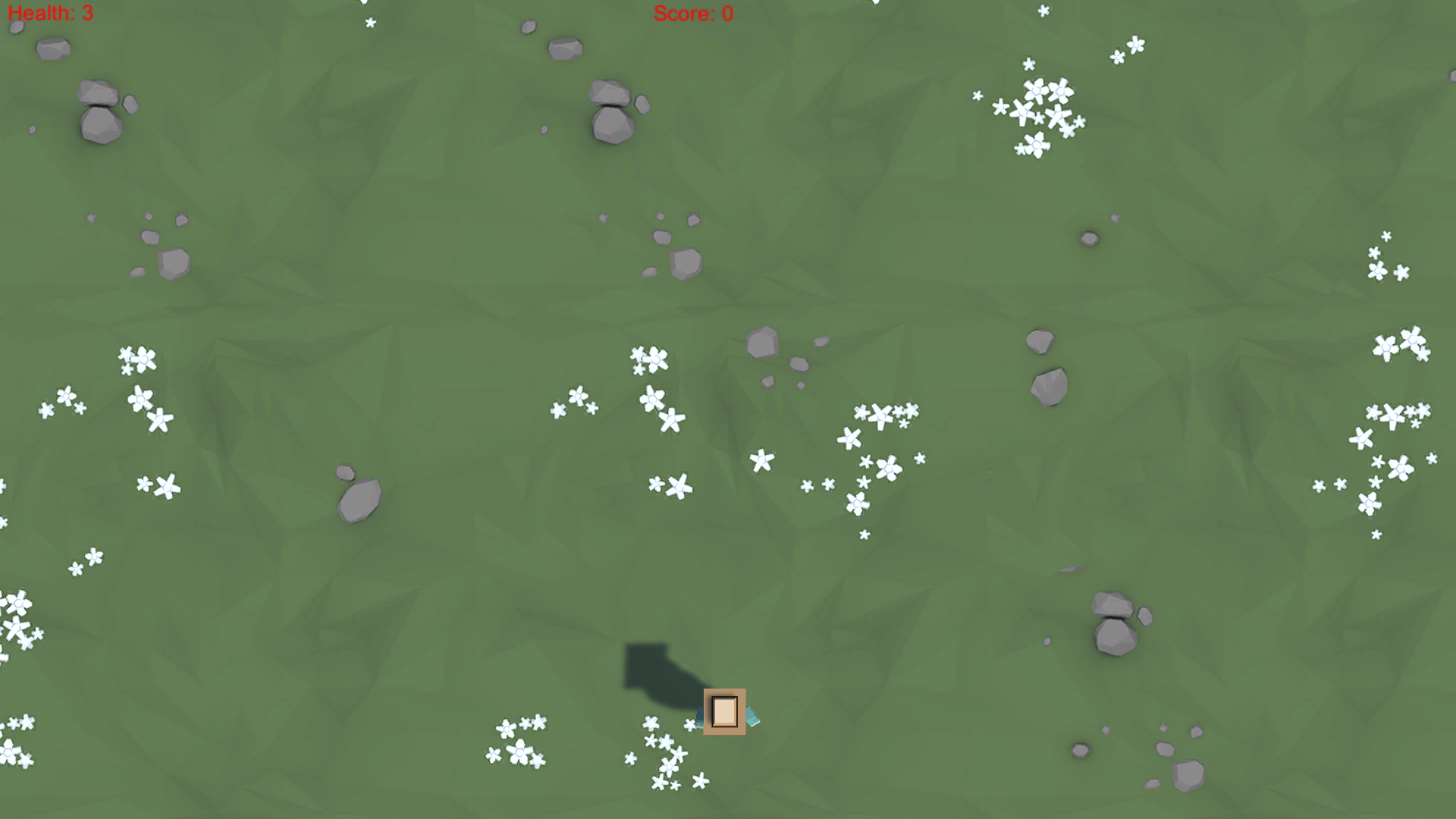 Chicken Race