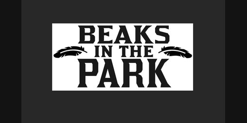 Cover image for Beaks in the Park - One Page RPG