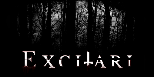 Cover image for Excitari : The Evil has Awakened