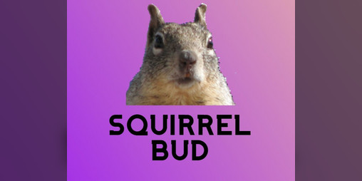 Cover image for Squirrel Bud - HTML Companion