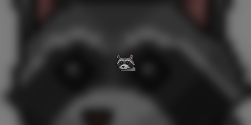 Cover image for Raccoon Run