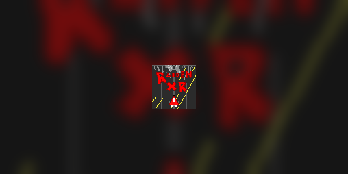 Cover image for Raiden XR