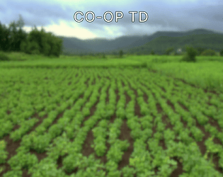 CO-OP TD