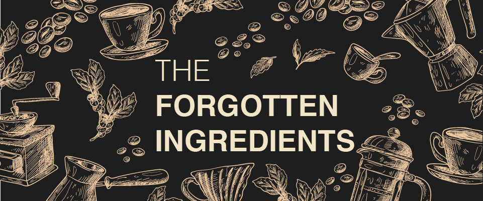 The Forgotten Ingredients