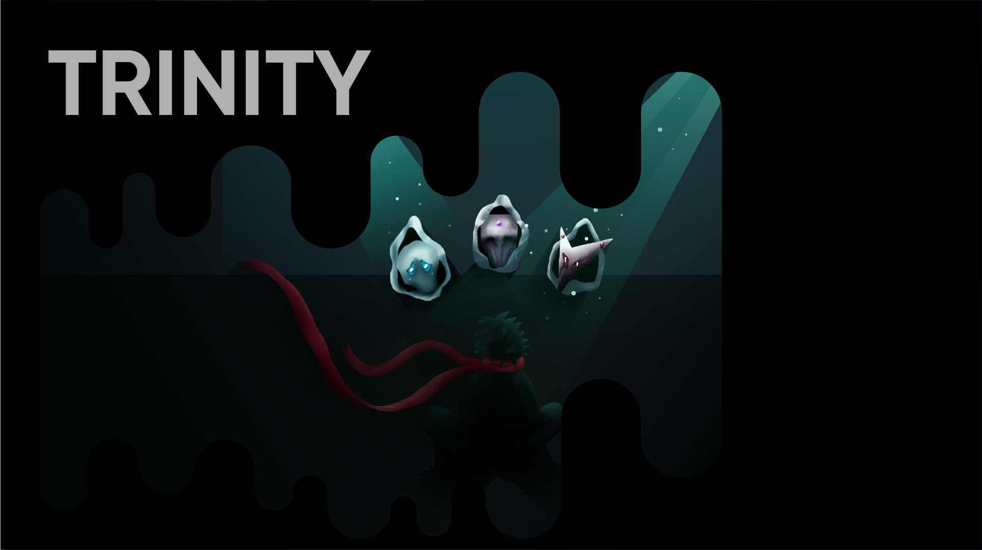 Cover image for TRINITY