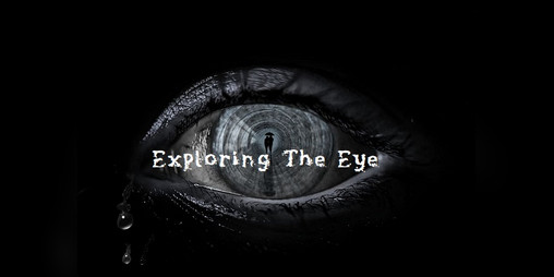 Cover image for Exploring the Eye