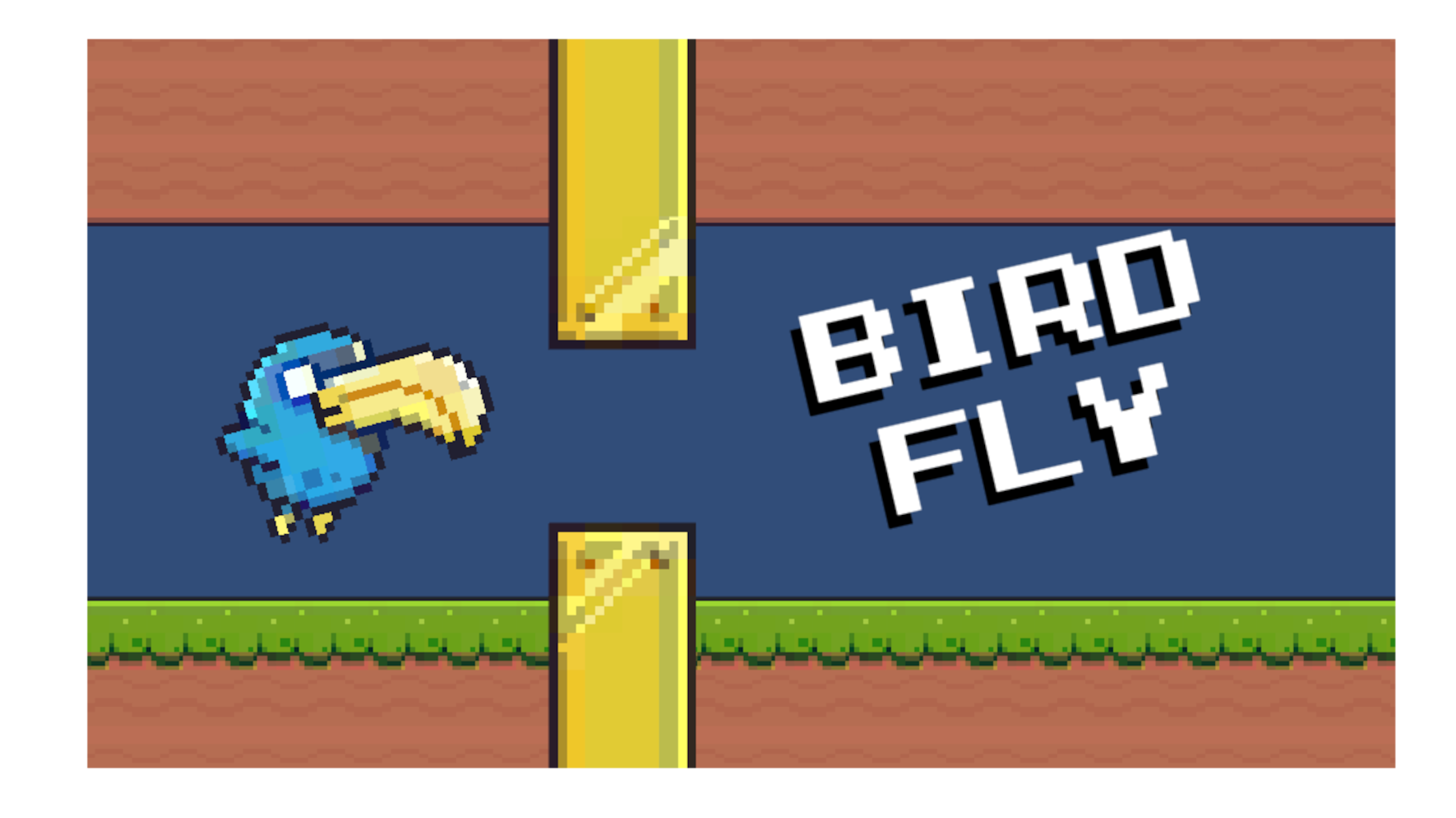Bird Fly