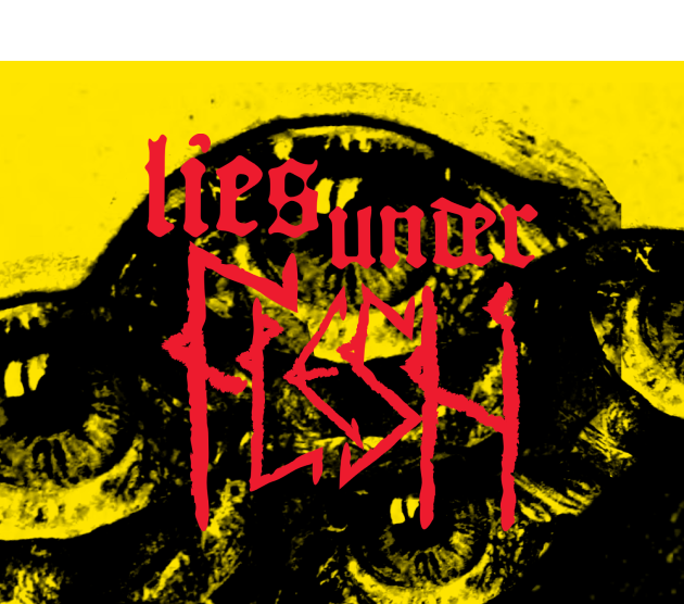 Cover image for Lies Under Flesh