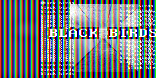 Cover image for Black Birds