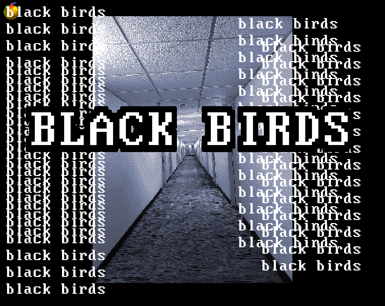 Cover image for Black Birds