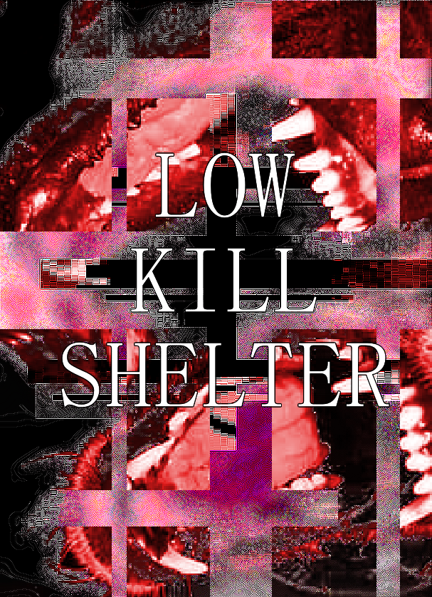 Low Kill Shelter