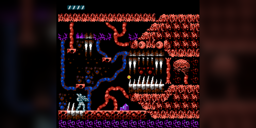 Cover image for neMULEsis