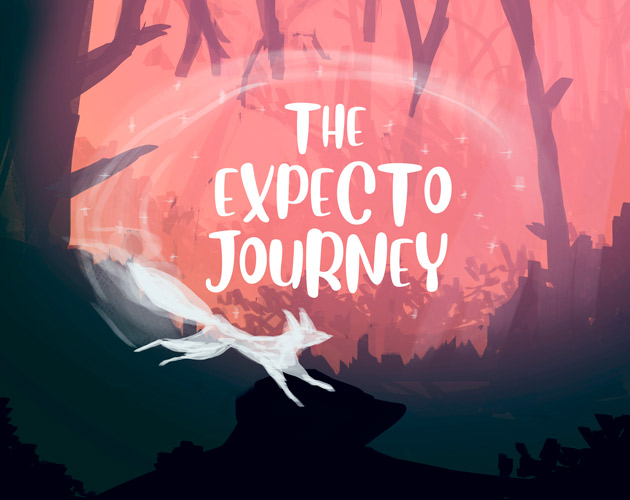 Cover image for The expecto journey