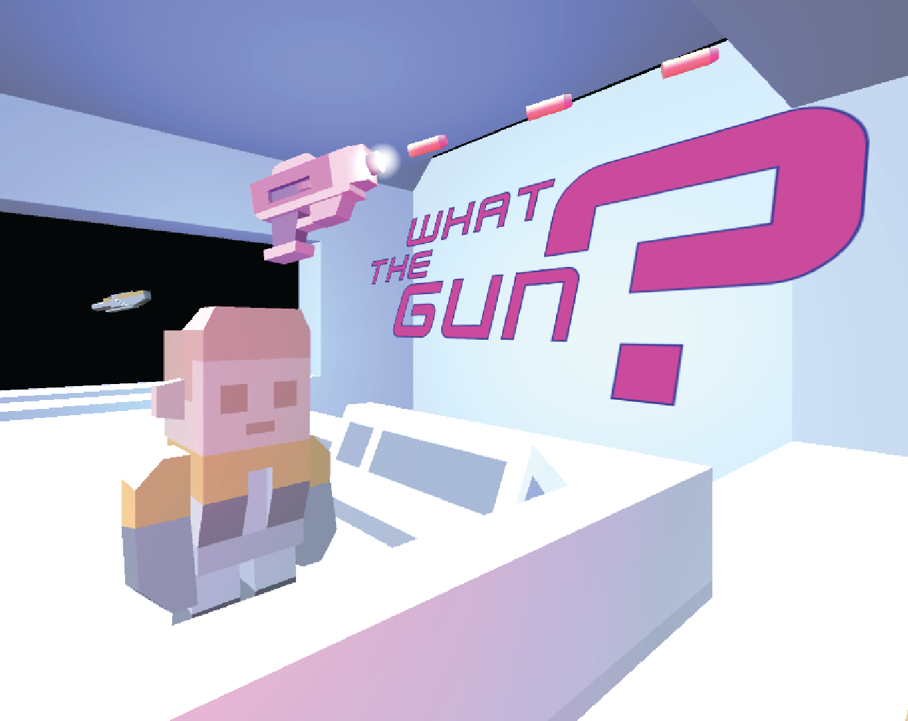 What the gun?