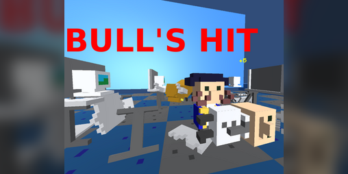 Cover image for Bull's Hit
